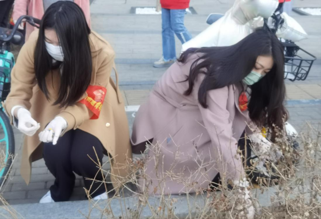 图片3.png 图片3.png