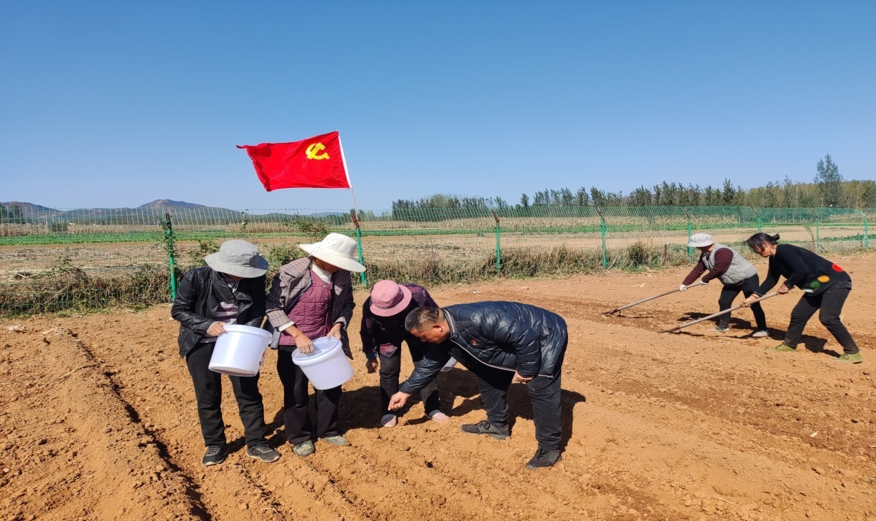 天泰1.png 天泰1.png