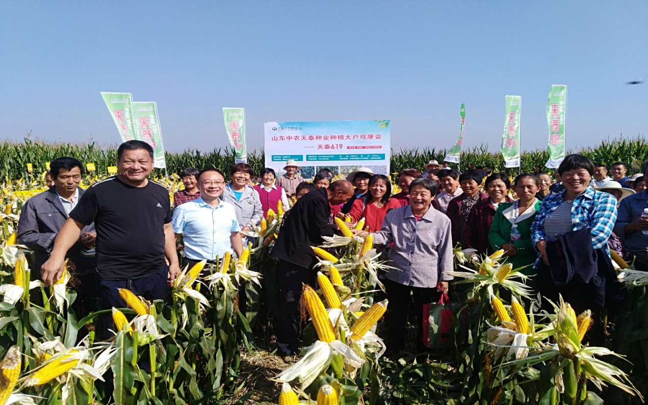 天泰5.png 天泰5.png