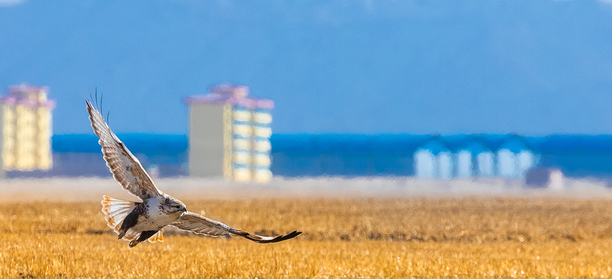 d61a4ea6976c11fac5fa8eaf70a9ddd.png d61a4ea6976c11fac5fa8eaf70a9ddd.png