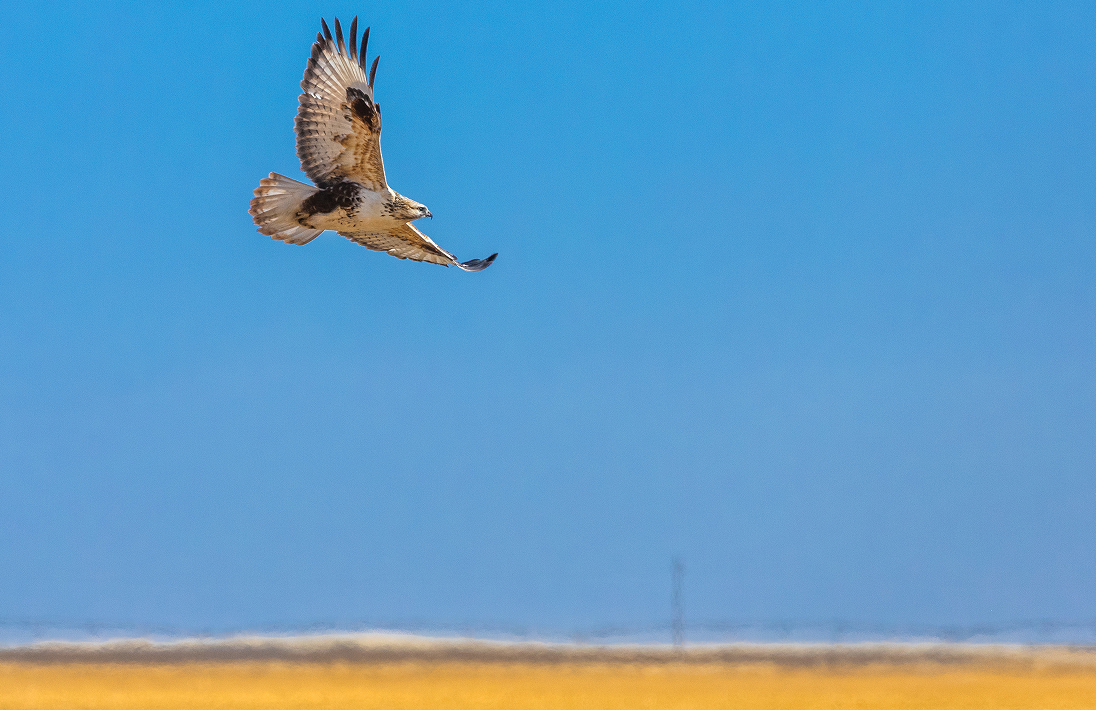 18272b310f341a1be77bcc6ca985172.png 18272b310f341a1be77bcc6ca985172.png