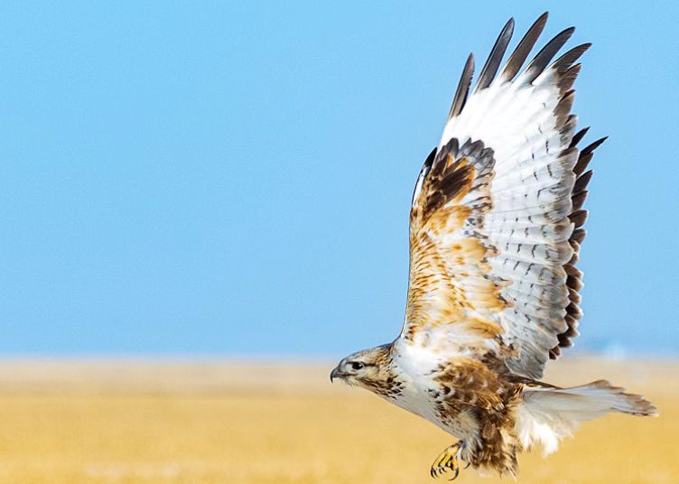 96e1e1c29fa14c2434d5ace1f3e515e.jpg 96e1e1c29fa14c2434d5ace1f3e515e.jpg