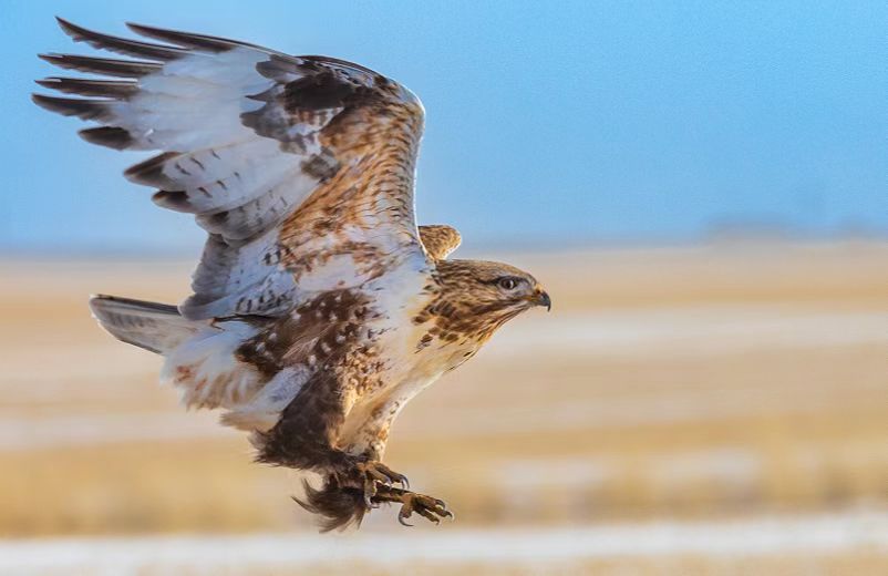 5cef34486a61f37e6a6c31510e16656.jpg 5cef34486a61f37e6a6c31510e16656.jpg