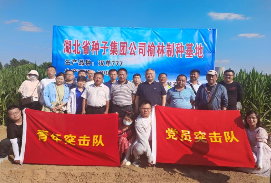 图片1.png 图片1.png