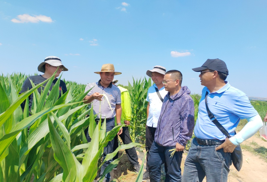 图片2.png 图片2.png