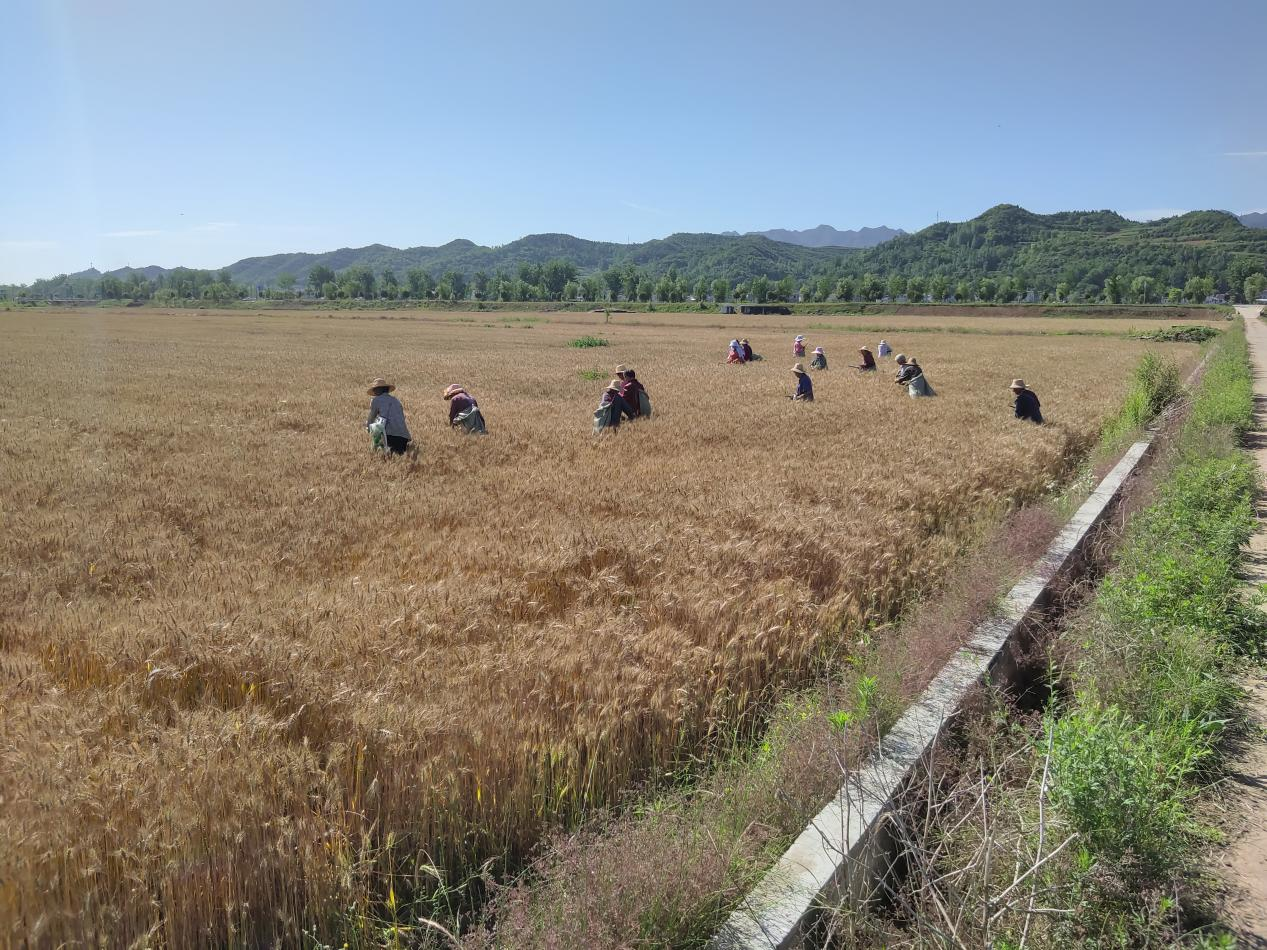 图片3.png 图片3.png