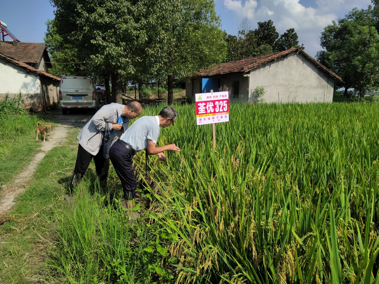 图片6.png 图片6.png