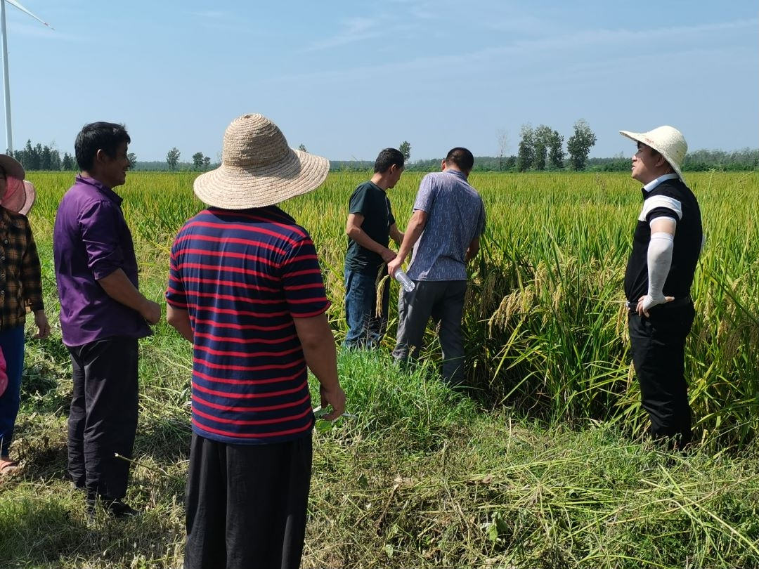 图片7.png 图片7.png