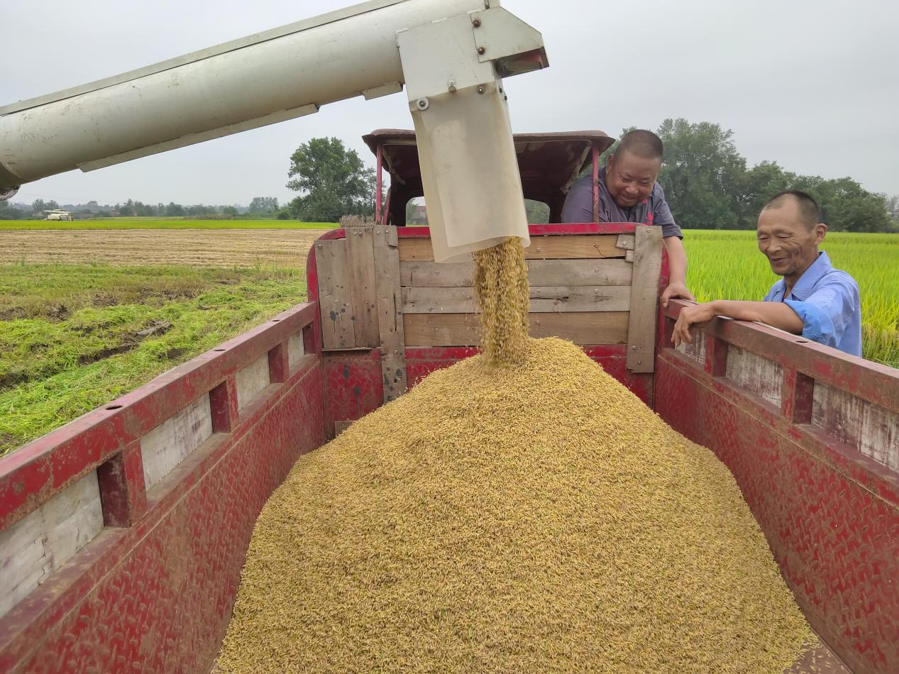 图片9.png 图片9.png