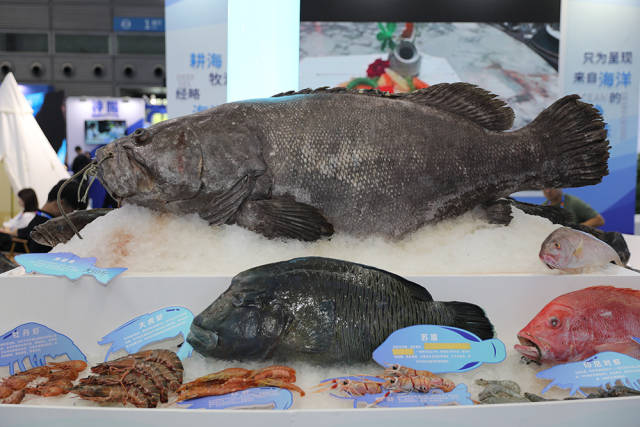 cea6001ae76c86c044395da829c20ad5_w640.jpg cea6001ae76c86c044395da829c20ad5_w640.jpg