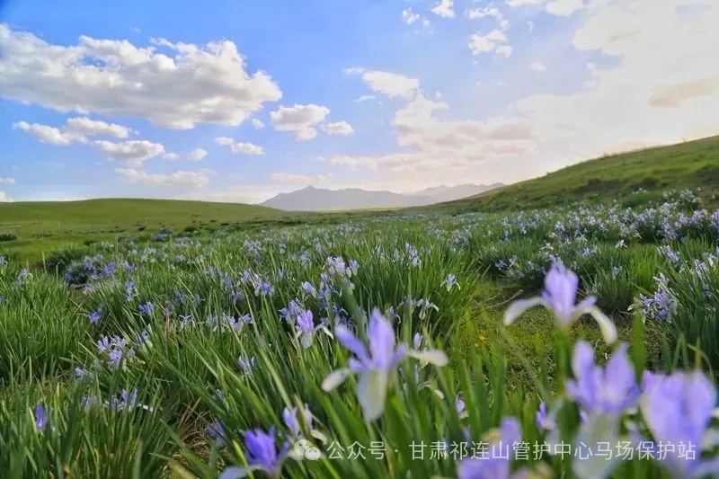 5.webp.jpg 5.webp.jpg