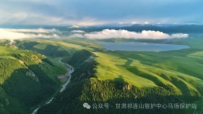 6.webp.jpg 6.webp.jpg