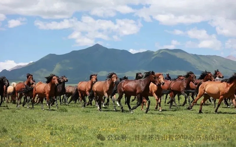 7.webp.jpg 7.webp.jpg