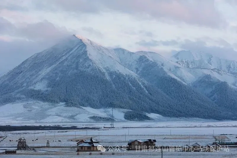 8.webp.jpg 8.webp.jpg