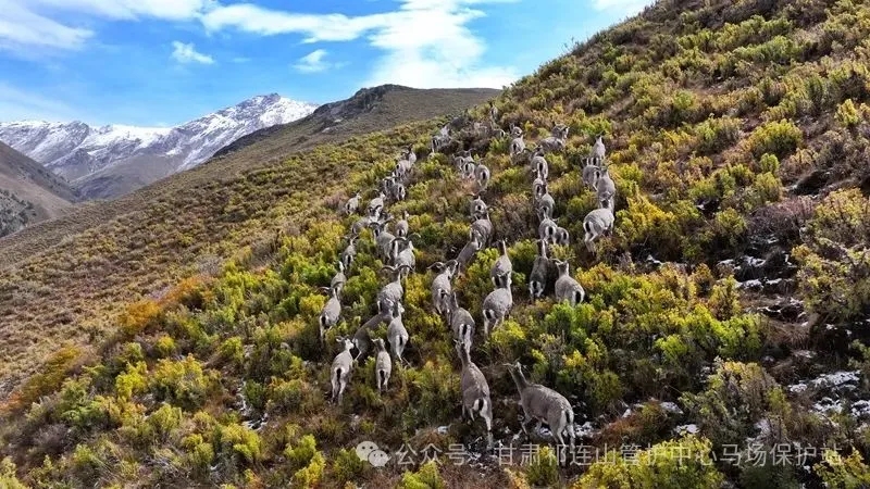 10.webp.jpg 10.webp.jpg