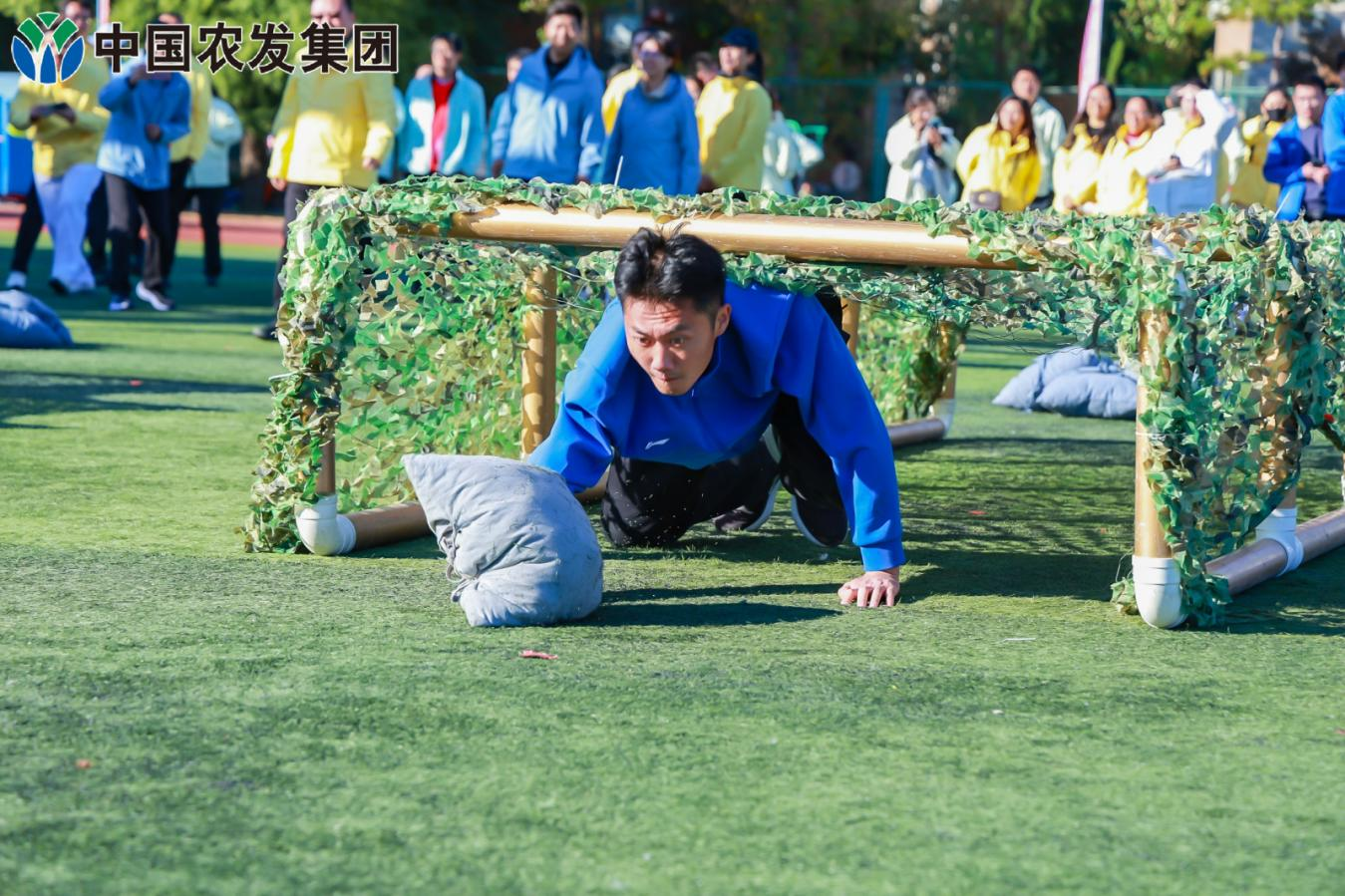 图片16.png 图片16.png