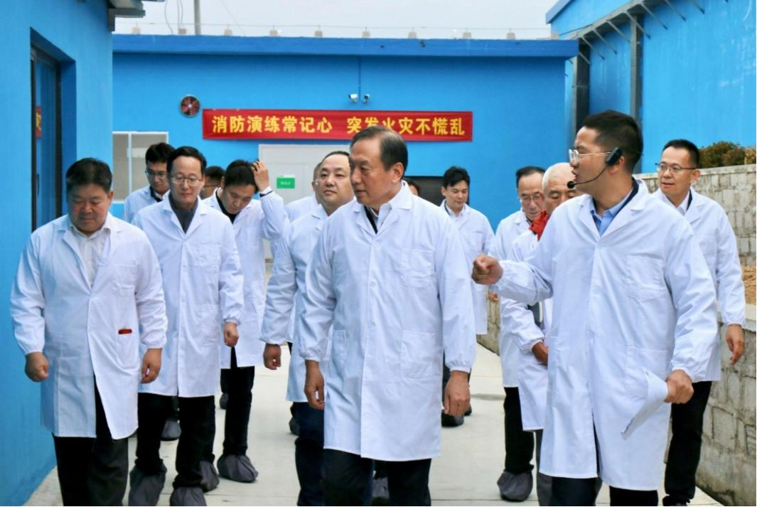 图片1.png 图片1.png