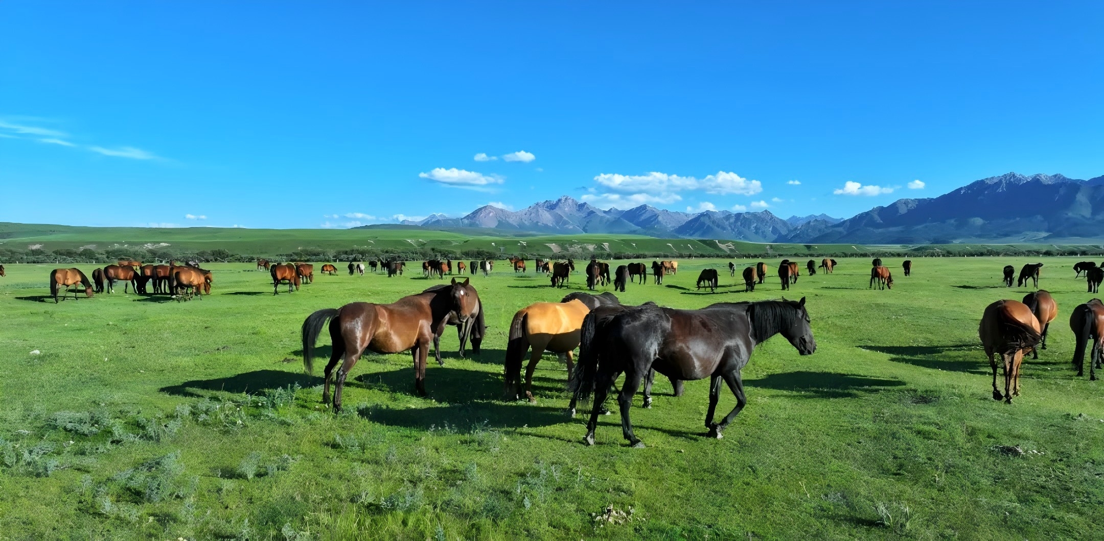 署名文章配图1.jpg 署名文章配图1.jpg