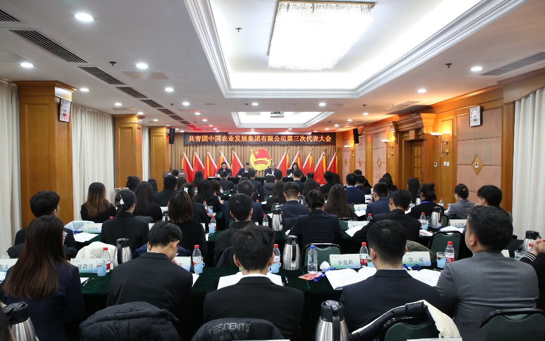 图片01.png 图片01.png