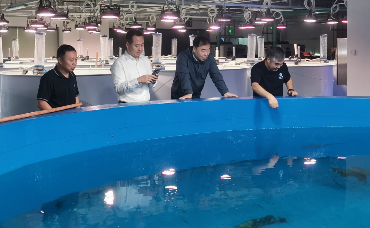 图片1-3.png 图片1-3.png