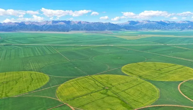 1730429011581.jpg 1730429011581.jpg