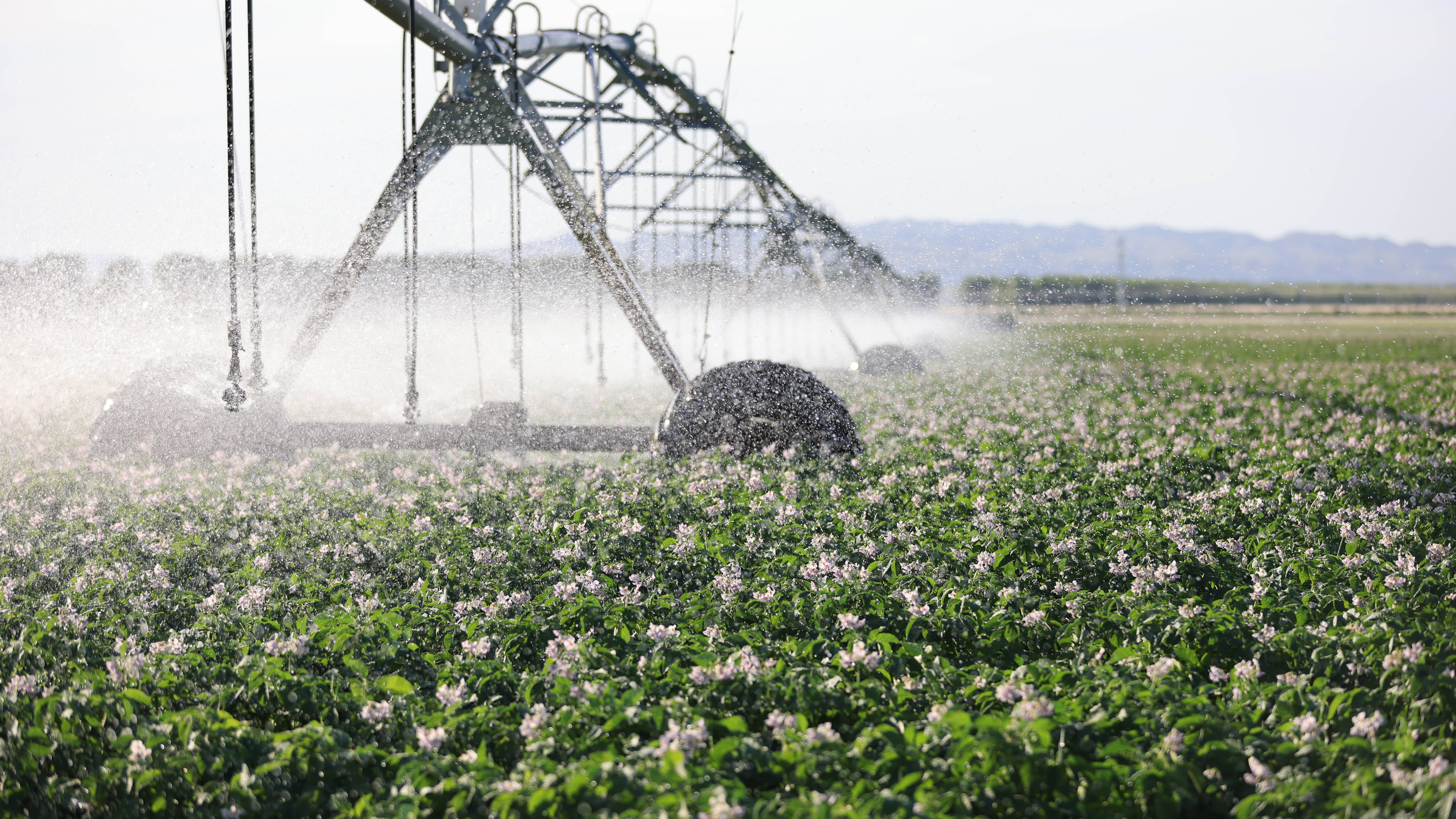 7a88e4a95608cada966423678ab5b58(1).jpg 7a88e4a95608cada966423678ab5b58(1).jpg