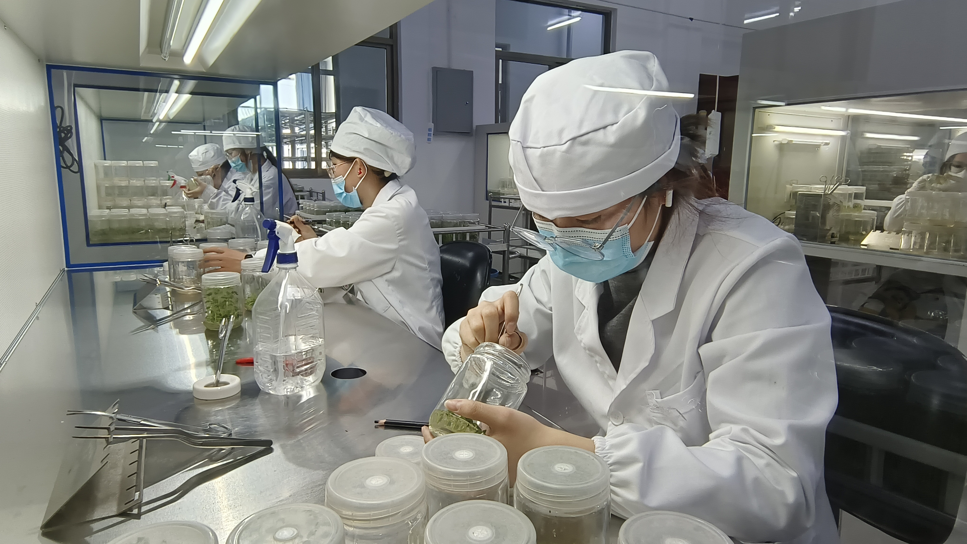 ea4397937722b5e5398bf103211e278.jpg ea4397937722b5e5398bf103211e278.jpg