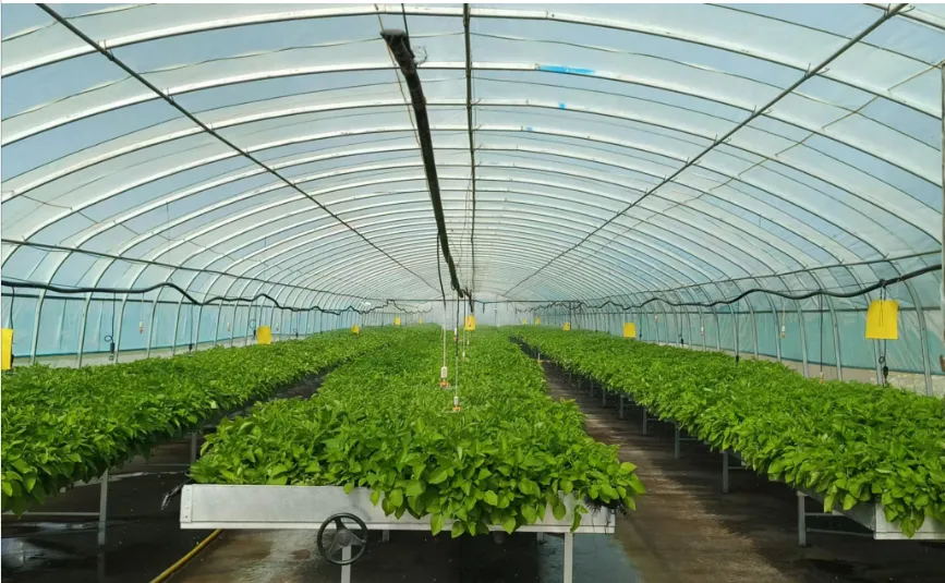 1730429037413.jpg 1730429037413.jpg