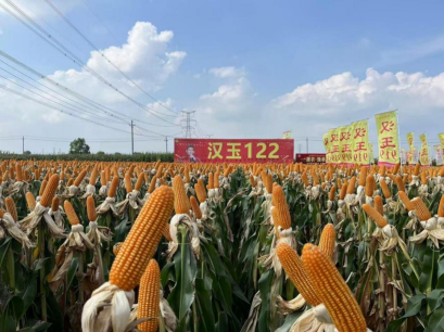 种业2.png 种业2.png