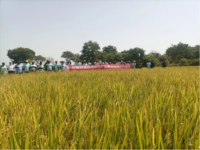 068d936a9966315c148ccc3b89f9ce36.png 068d936a9966315c148ccc3b89f9ce36.png