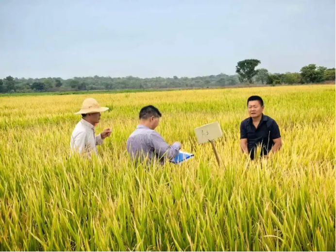 微信图片_2025-07-01_174815_052.png 微信图片_2025-07-01_174815_052.png