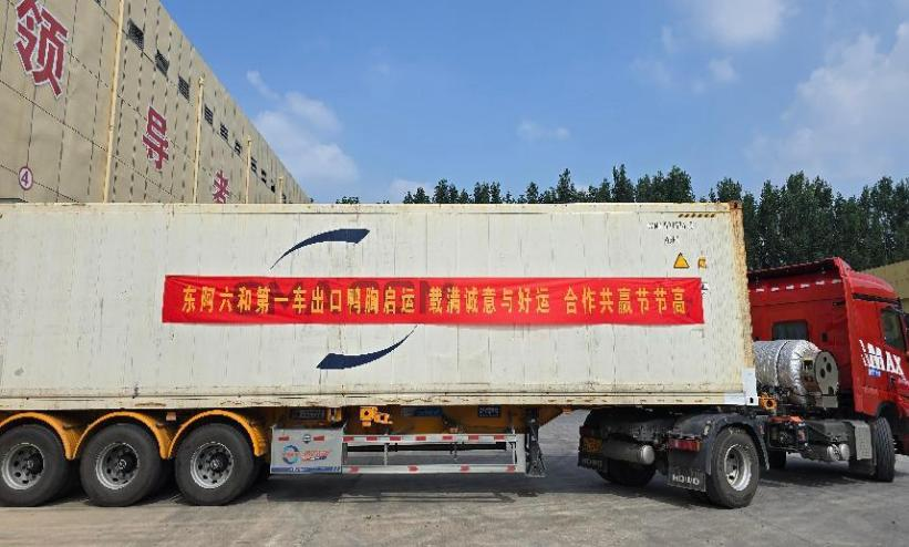 图片1 (2).png 图片1 (2).png