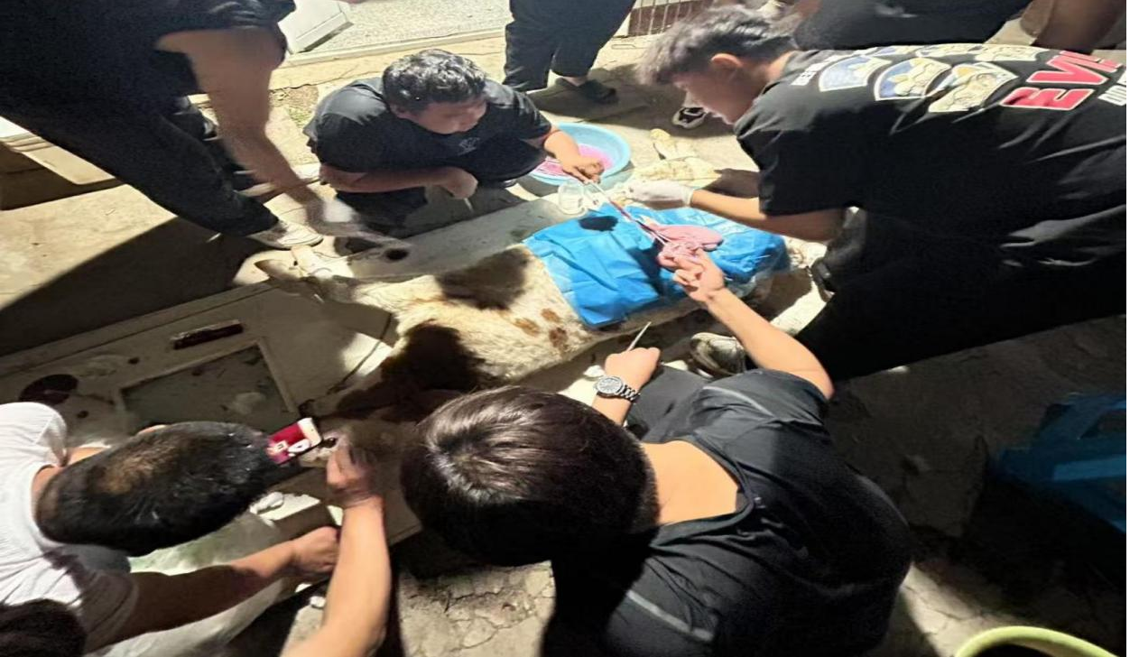 图片4.png 图片4.png