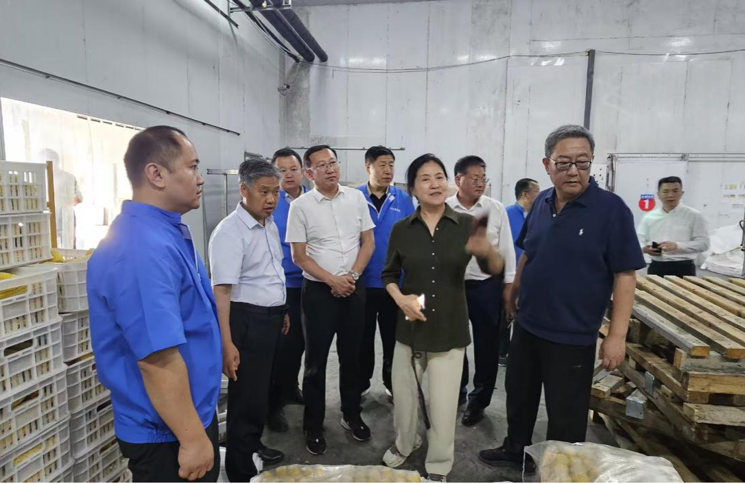 图片5.png 图片5.png