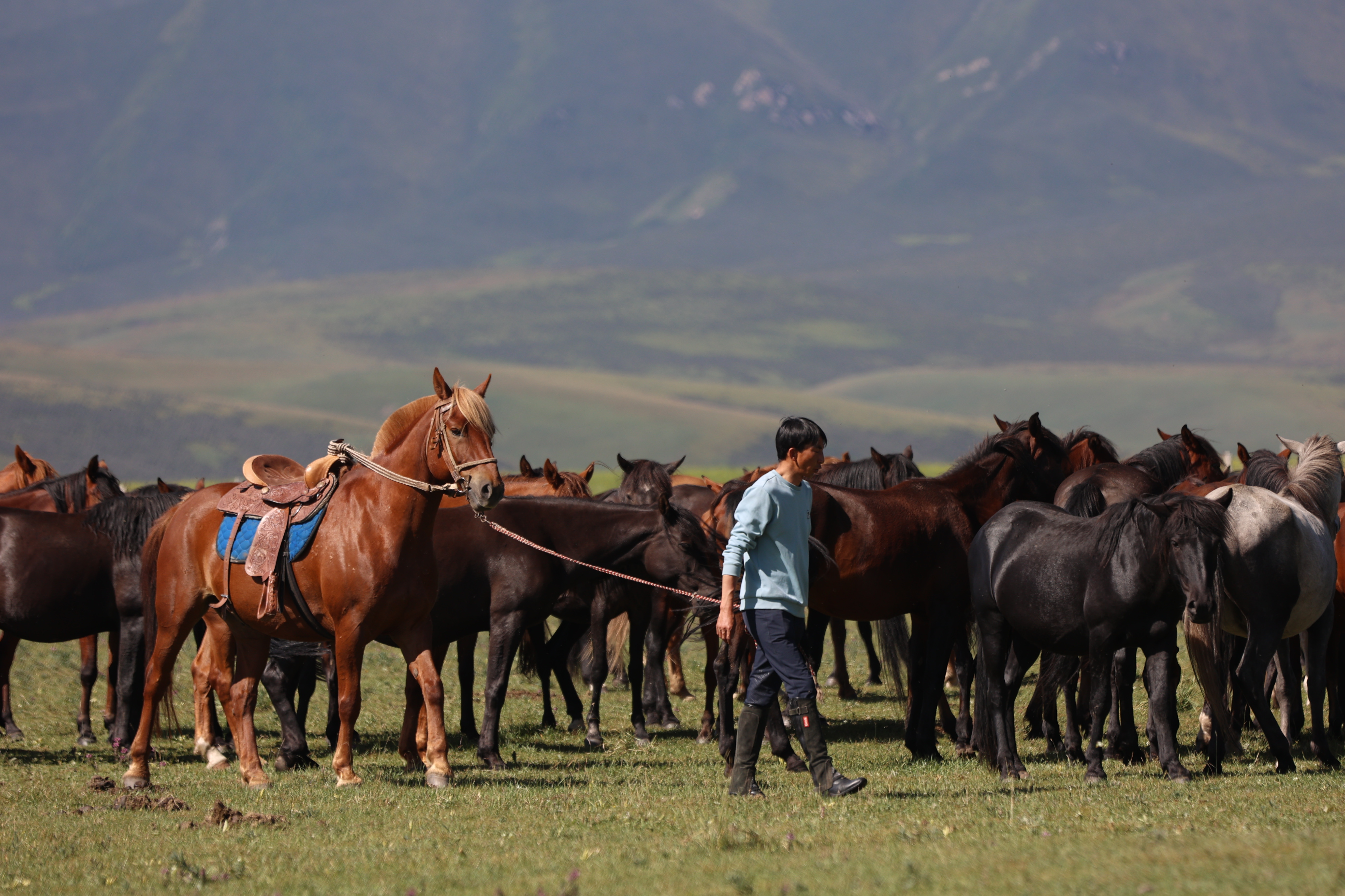 9f984c8076890a2b7e24e02f0a9b03a2.png 9f984c8076890a2b7e24e02f0a9b03a2.png