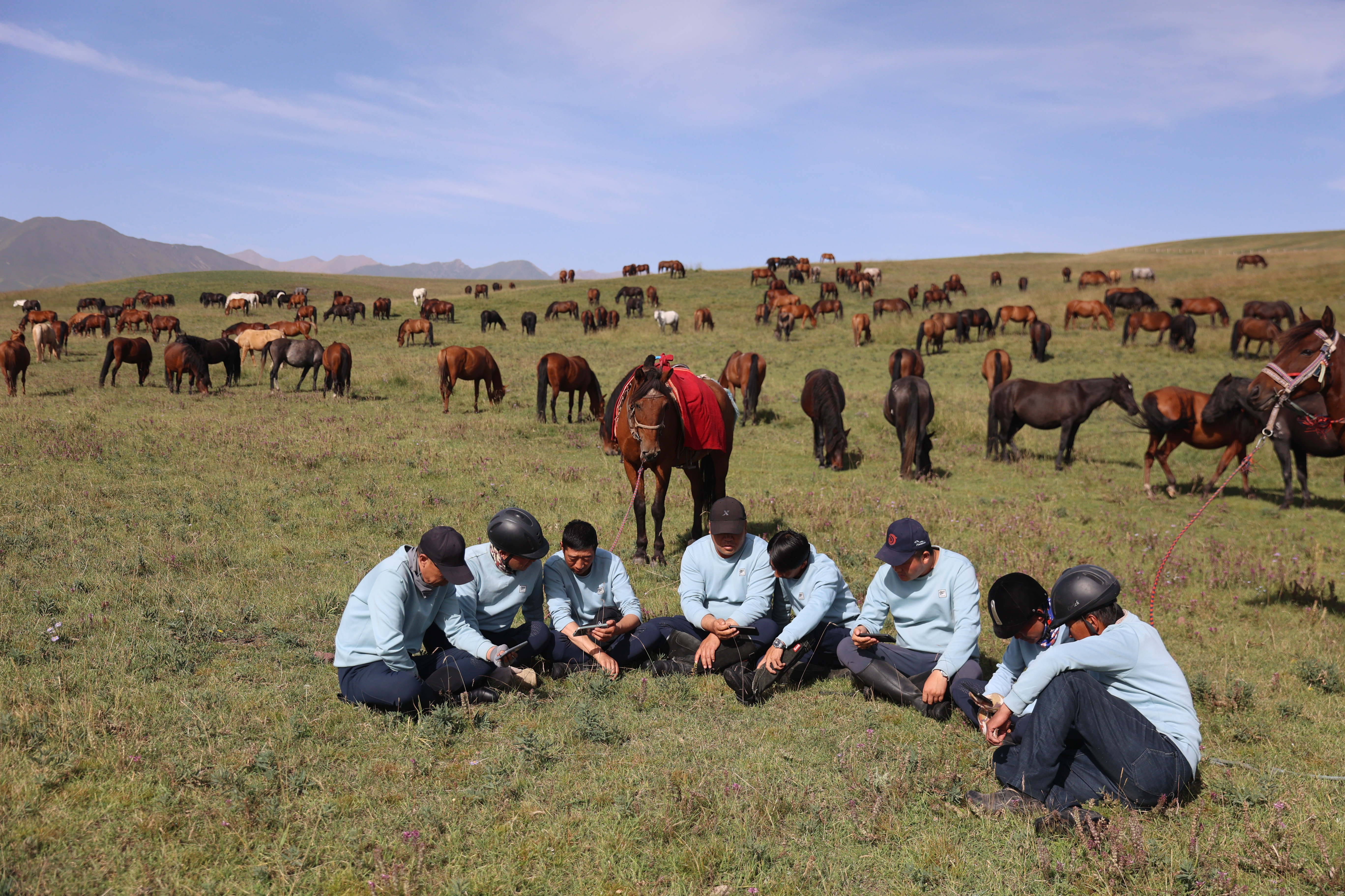 山丹马场.jpg 山丹马场.jpg
