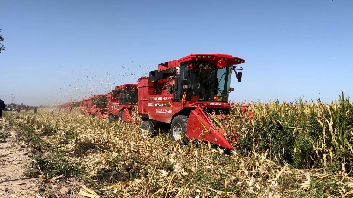 微信图片_2025-09-10_180439_723.jpg 微信图片_2025-09-10_180439_723.jpg