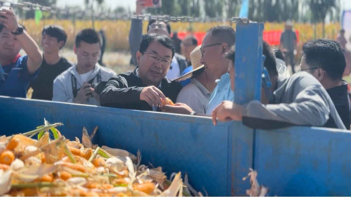 微信图片_2025-09-10_180503_929.jpg 微信图片_2025-09-10_180503_929.jpg