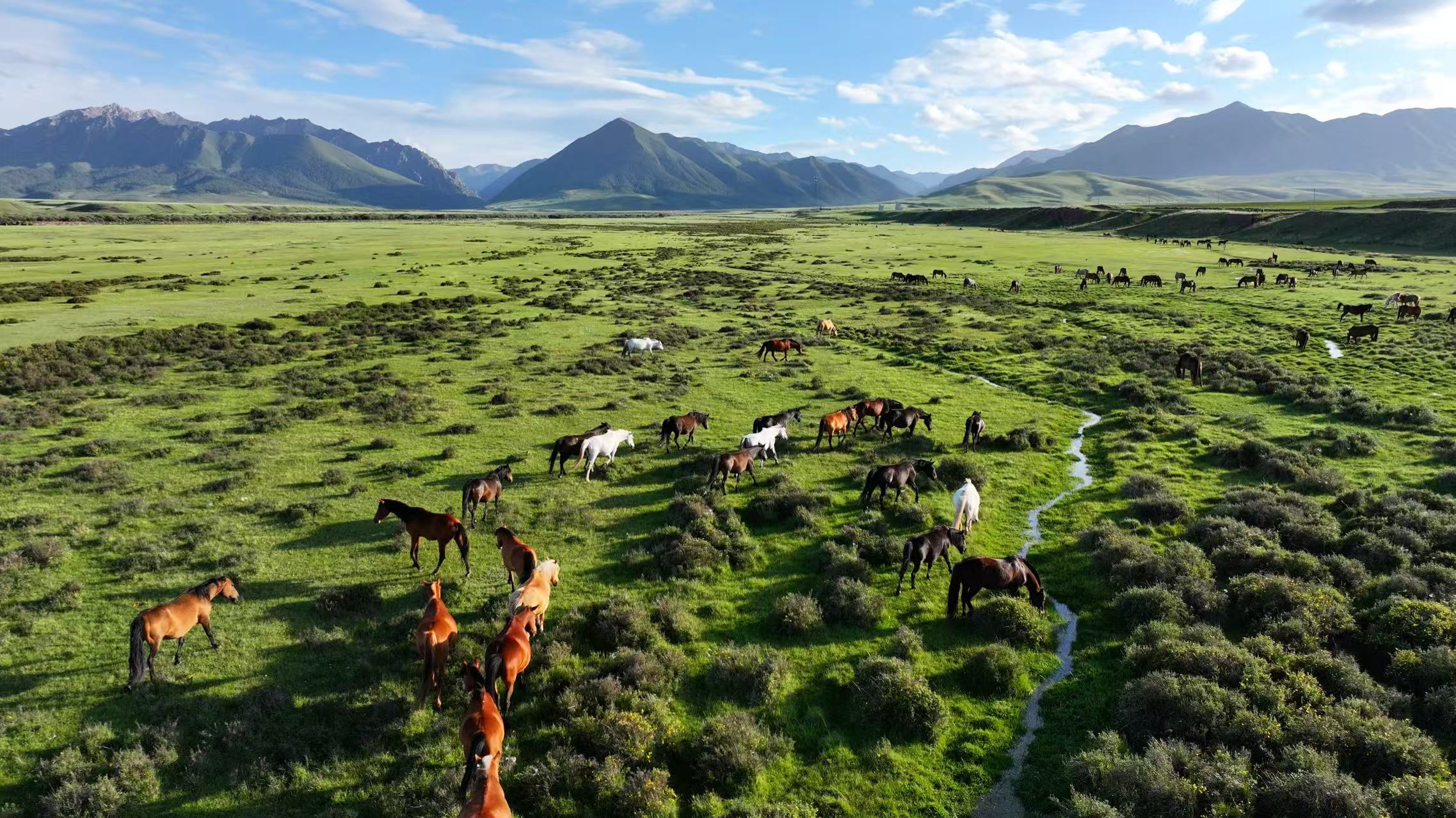 微信图片_20250910090833_450_104.jpg 微信图片_20250910090833_450_104.jpg