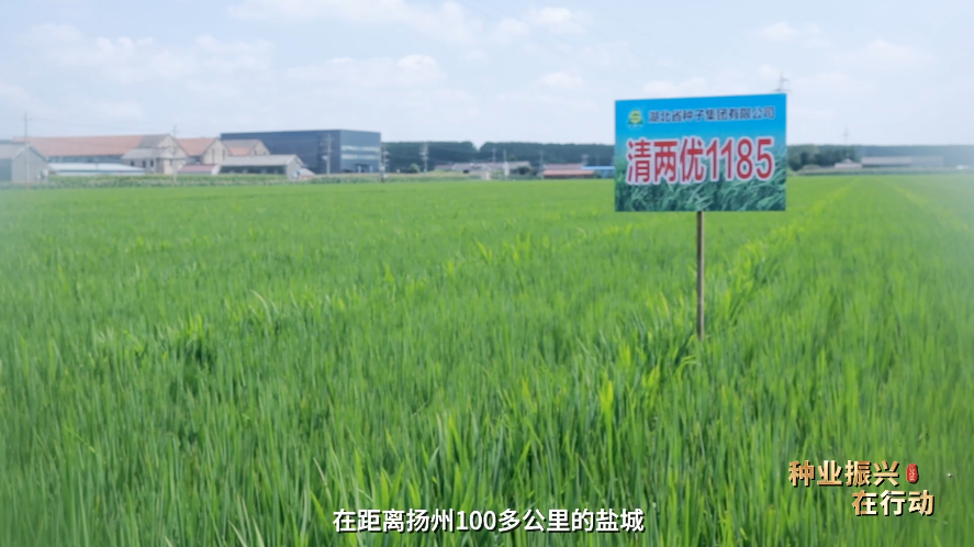 图片7.png 图片7.png