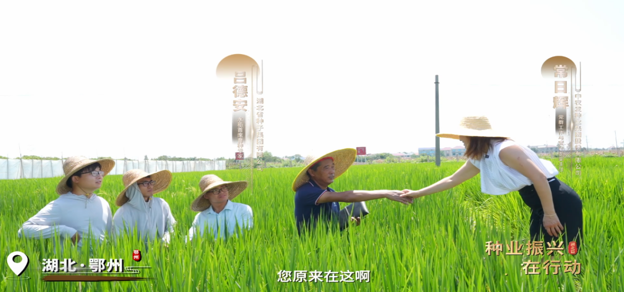 图片3.png 图片3.png