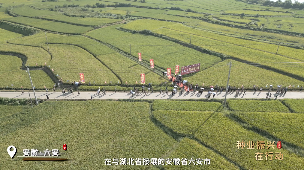 图片5.png 图片5.png