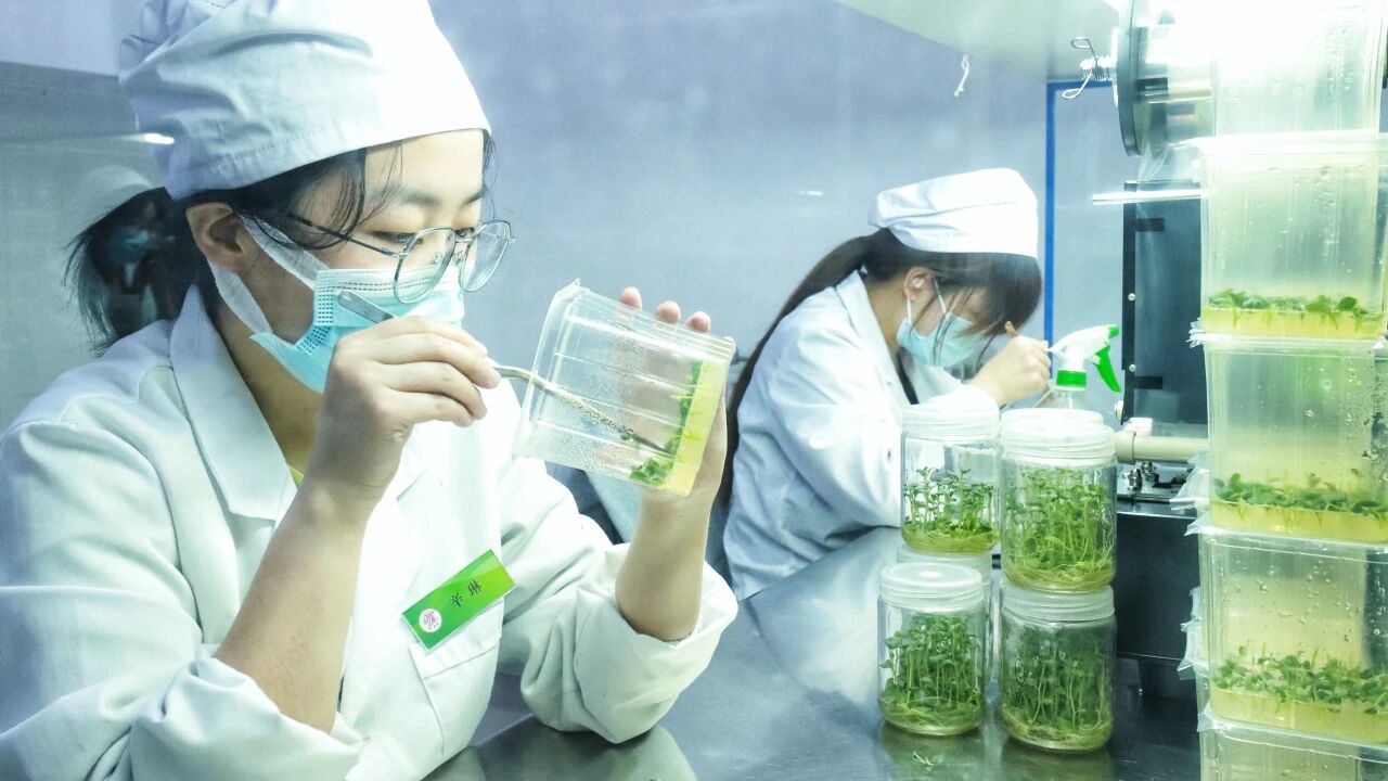 6c5d32e62c860541e0b03ee361e0046a.jpg 6c5d32e62c860541e0b03ee361e0046a.jpg