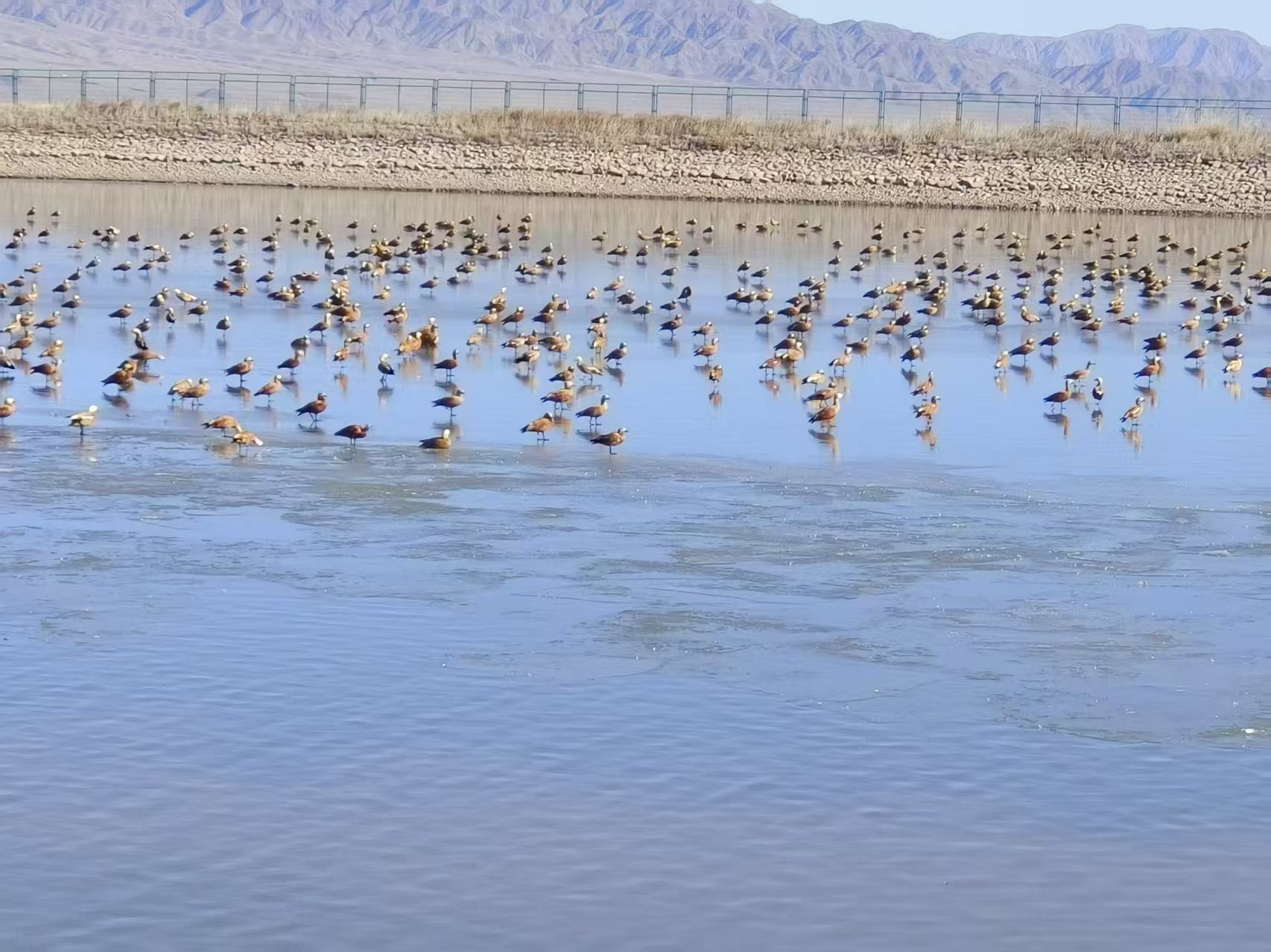 463998353bcc05a20f3be1f40aa86883.jpg 463998353bcc05a20f3be1f40aa86883.jpg