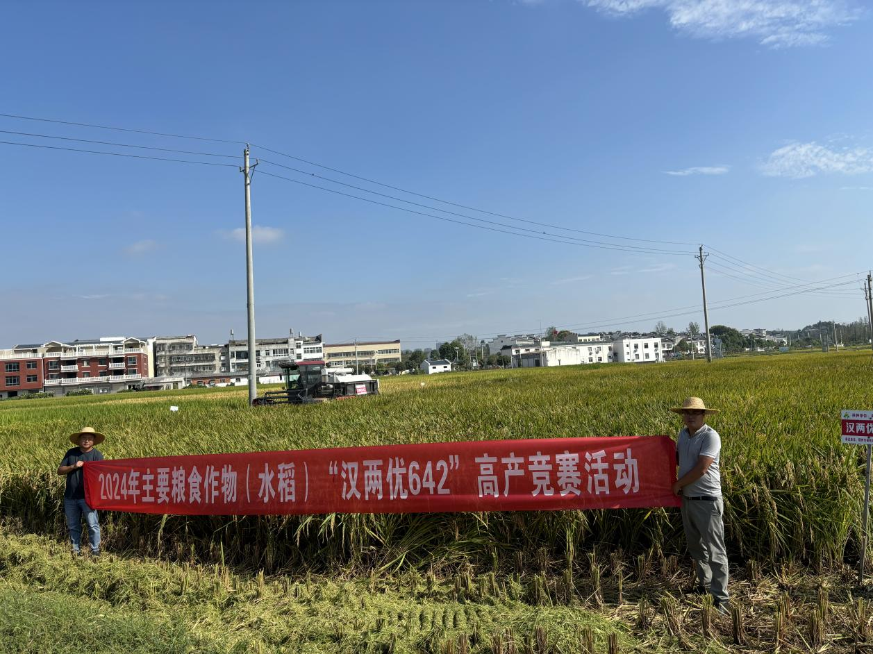 图片3.png 图片3.png